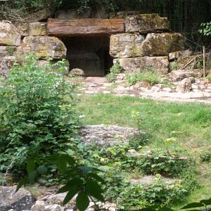 European Brown Bear Enclosure Cave