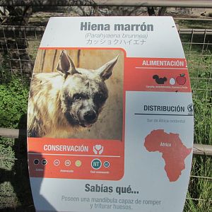 sign brown hyena