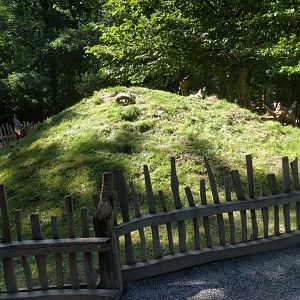 Domestic bunny Enclosure