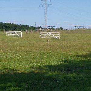 Animal Display Enclosure