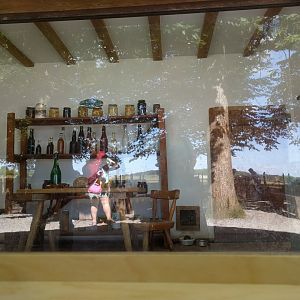 House Mouse Enclosure