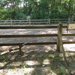 Domestic Horse Enclosure