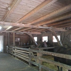 Domestic Horse barn