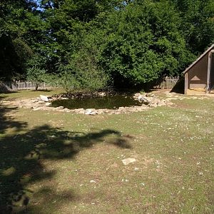 Domestic Chicken, Domestic duck and Domestic Bunny Enclosure