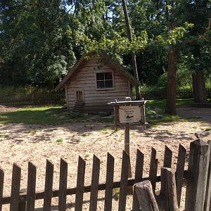 Domestic Goat and Domestic Chicken Enclosure