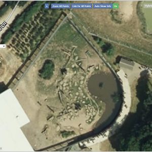 YWP babboonnnn enclosure