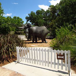 Elephant Statues