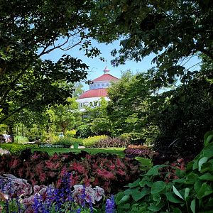 Jun. 2020 - Floral Garden + Reptile House