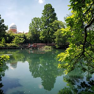 Jun. 2020 - Swan Lake + Elephant House