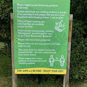 Post Lockdown Visit - 20/6/2020