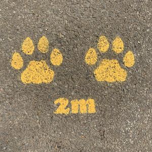 Post Lockdown Visit - 20/6/2020