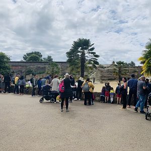 Post Lockdown Visit - 20/6/2020