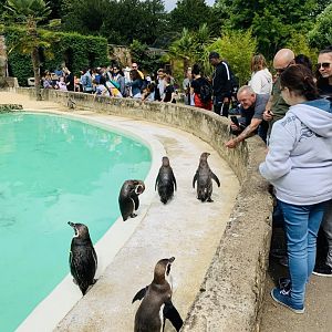 Post Lockdown Visit - 20/6/2020