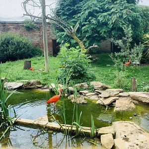 Post Lockdown Visit - 20/6/2020