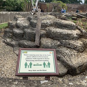 Post Lockdown Visit - 20/6/2020