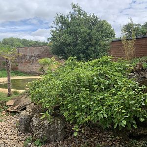 Post Lockdown Visit - 20/6/2020