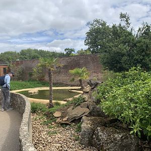 Post Lockdown Visit - 20/6/2020