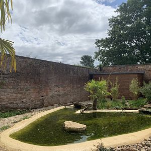 Post Lockdown Visit - 20/6/2020