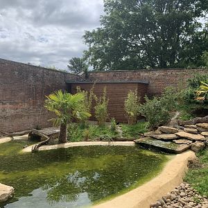 Post Lockdown Visit - 20/6/2020