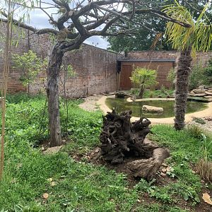 Post Lockdown Visit - 20/6/2020