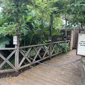 Post Lockdown Visit - 20/6/2020