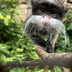 Post Lockdown Visit - 20/6/2020