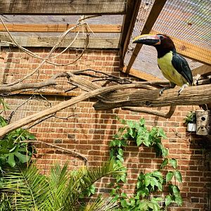 Post Lockdown Visit - 20/6/2020