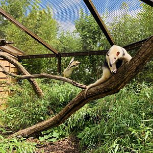 Post Lockdown Visit - 20/6/2020