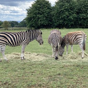 Post Lockdown Visit - 20/6/2020