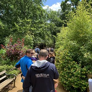 Post Lockdown Visit - 20/6/2020