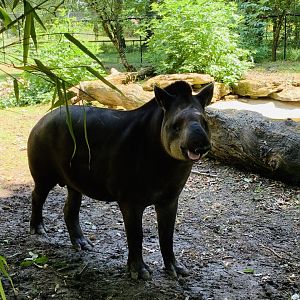 Post Lockdown Visit - 20/6/2020