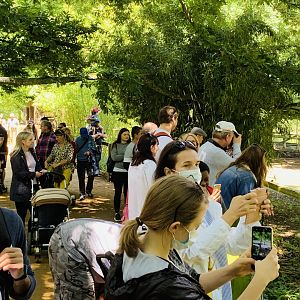 Post Lockdown Visit - 20/6/2020