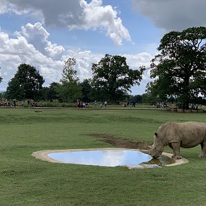 Post Lockdown Visit - 20/6/2020