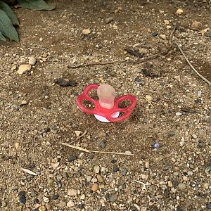 Post Lockdown Visit - 20/6/2020