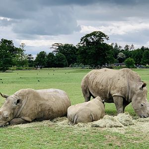 Post Lockdown Visit - 20/6/2020