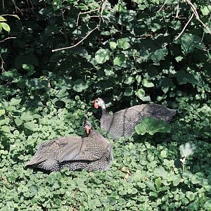 Post Lockdown Visit - 20/6/2020