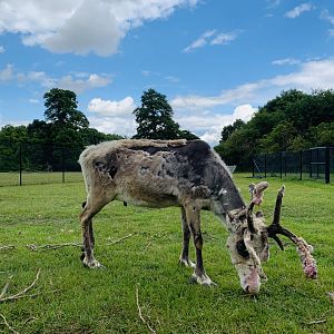 Post Lockdown Visit - 20/6/2020