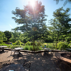 Jun. 2020 - Africa - Base Camp Cafe - Plains Overlook