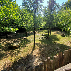 Jun. 2020 - Rhino Reserve - Eastern Bongo Exhibit