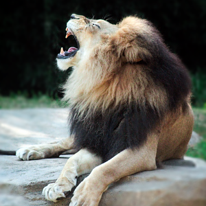 Jun. 2020 - Africa - John