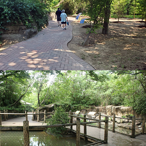 Jun. 2020 - Children's Zoo - Penguin Walkabout Removed