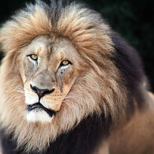 Jun. 2020 - Africa - John