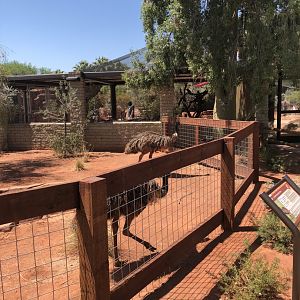 Emu Exhibit