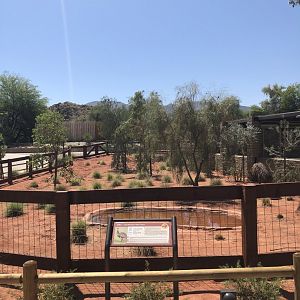Emu Exhibit