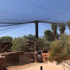 Australian Adventures