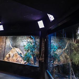 Squirrel Glider/Potoroo Enclosure - Nocturnal House