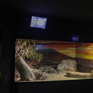 Bilby Enclosure - Nocturnal House