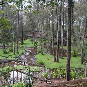 Brolga Enclosure