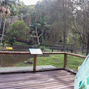 Saltwater Crocodile Enclosure