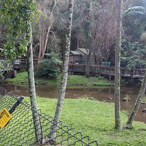 Freshwater Crocodile Enclosure